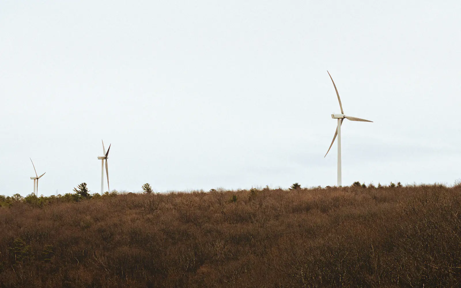 Wind turbines in a renewable-energy landscape